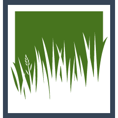New Lawn Sod Installation Pros