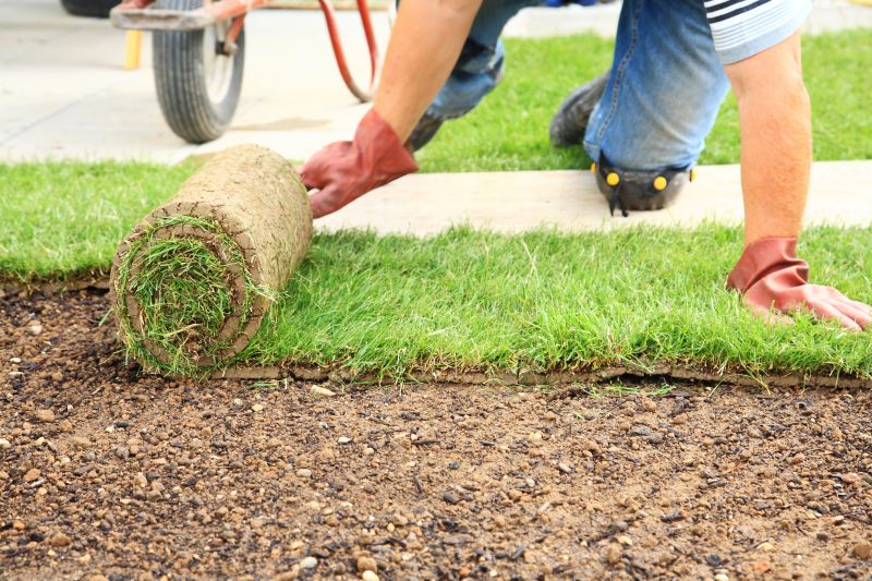 Sod Installation Service