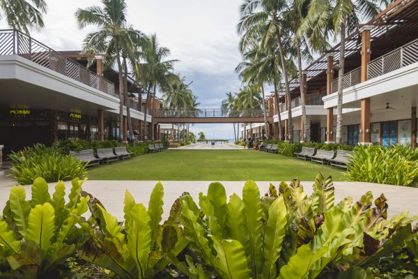 Commercial Lawn Renovation