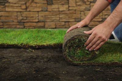 New Lawn Sod Installation