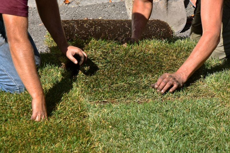 New Lawn Sod Installation