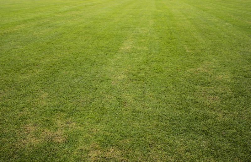 New Lawn Sod Installation