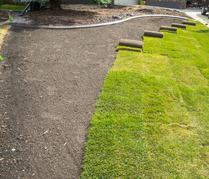 New Lawn Sod Installation