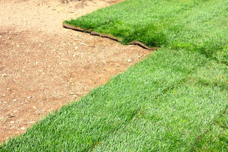 New Lawn Sod Installation