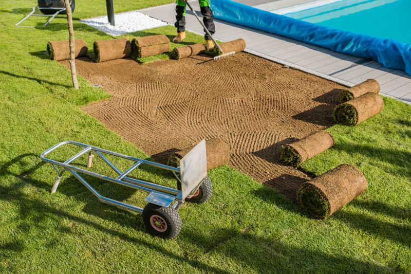 New Lawn Sod Installation