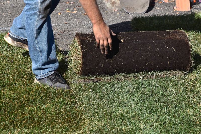 New Lawn Sod Installation