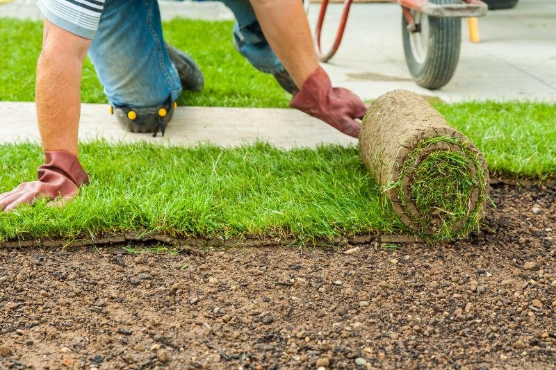 Commercial Landscaping with Sod