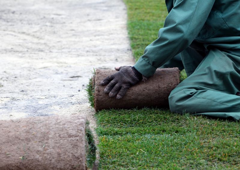 Sod Laying Service